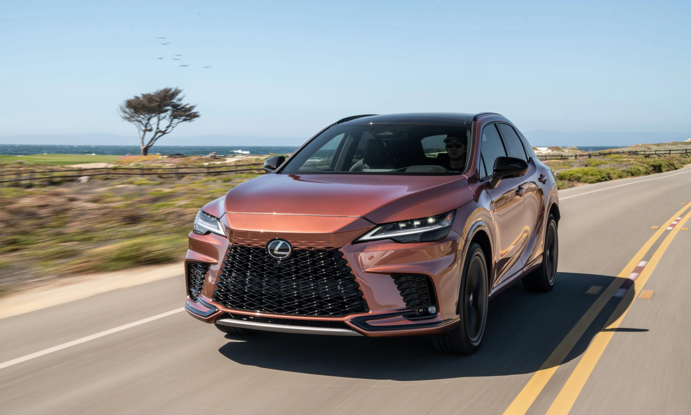 Lexus RX 2026