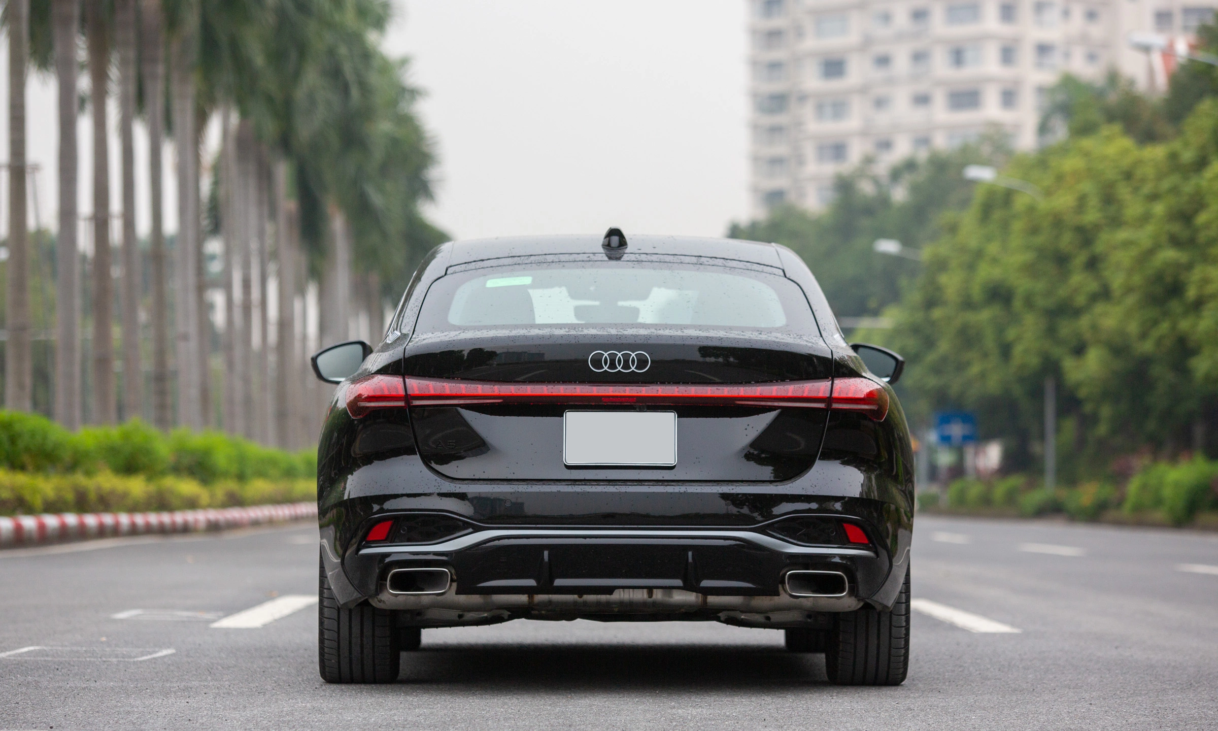 Audi A5 2026 6