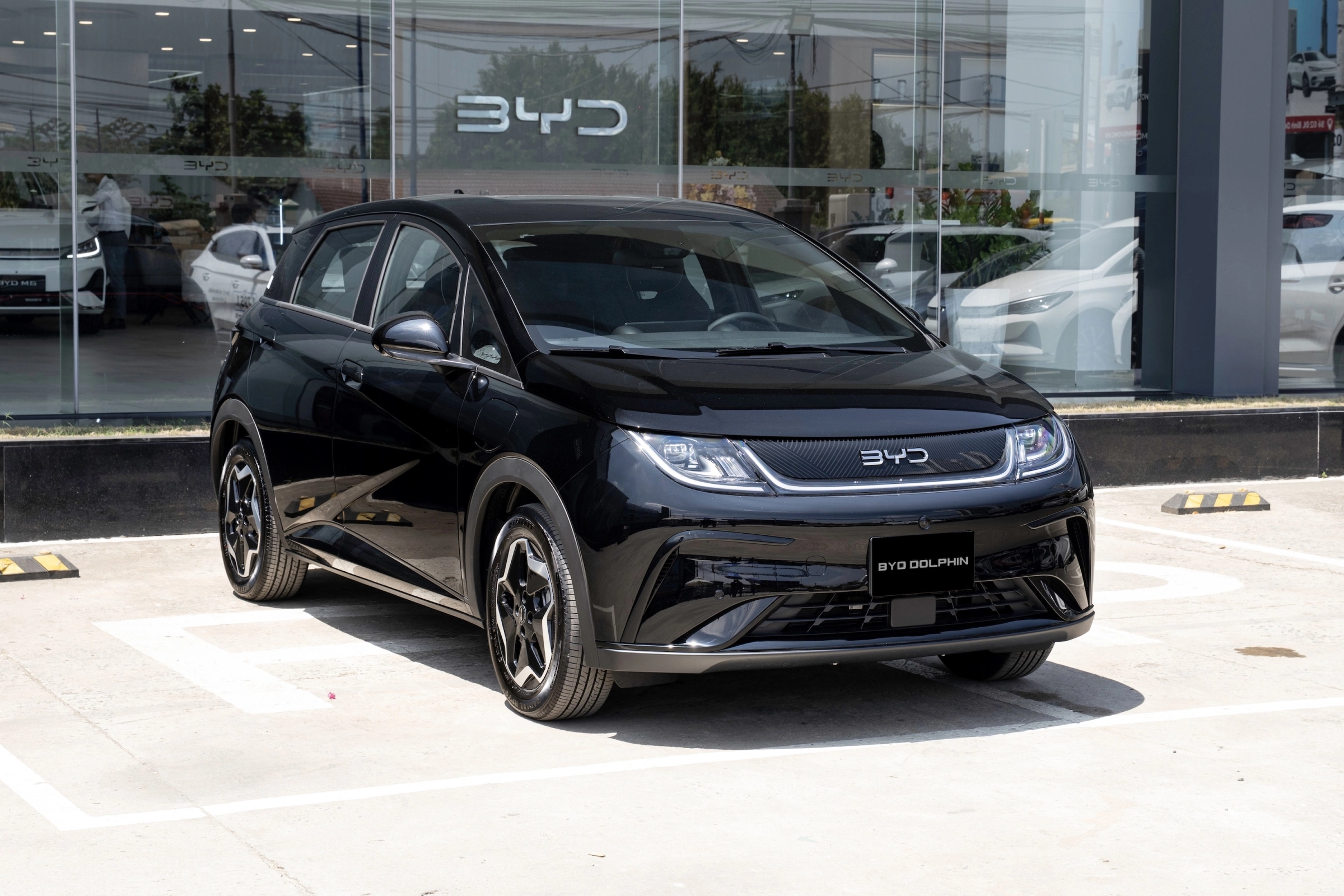 BYD Dolphin 2026 13