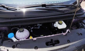 BYD Dolphin 2026 58