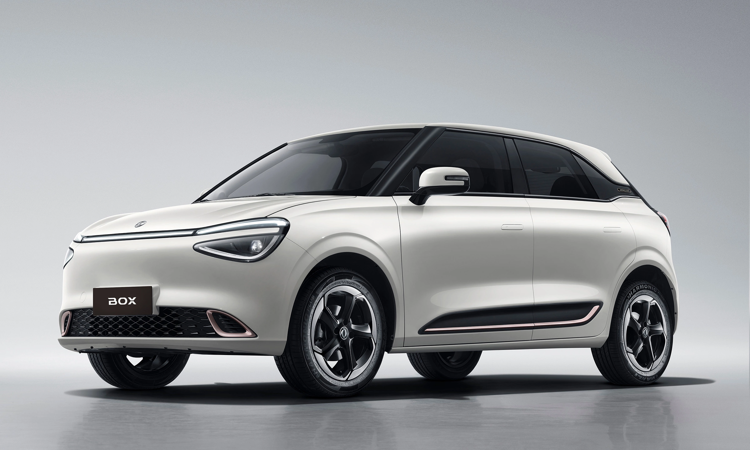 Dongfeng Box 2026