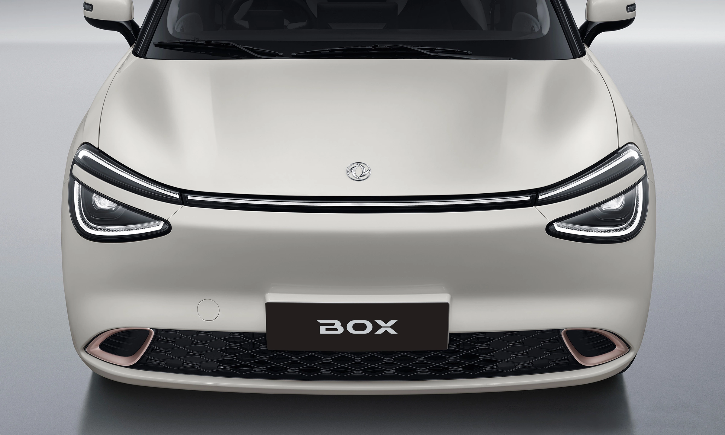 Dongfeng Box 2026 4