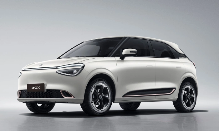 Dongfeng Box 2026 36