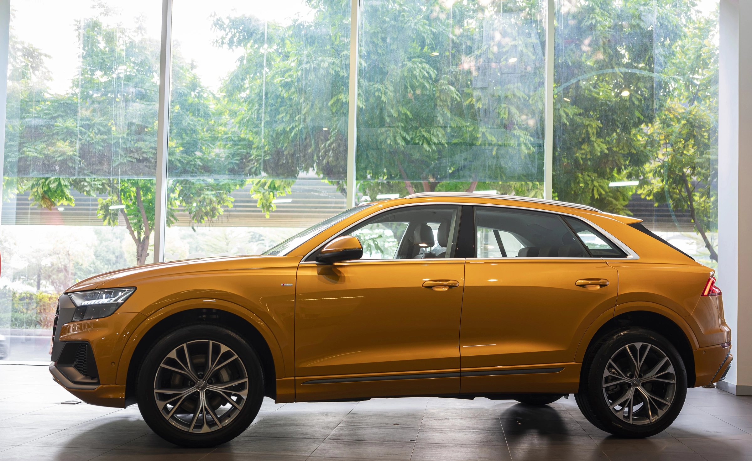 Audi Q8 2026 1