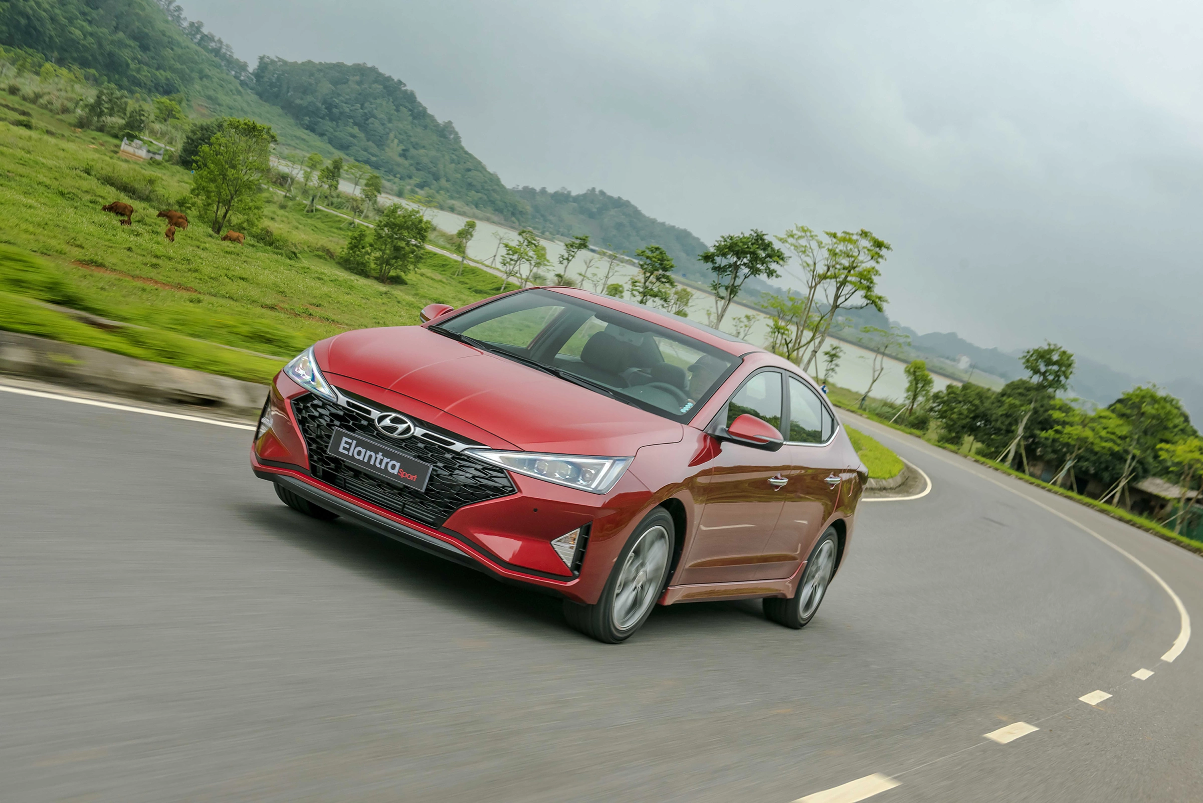 Hyundai Elantra 2026 3