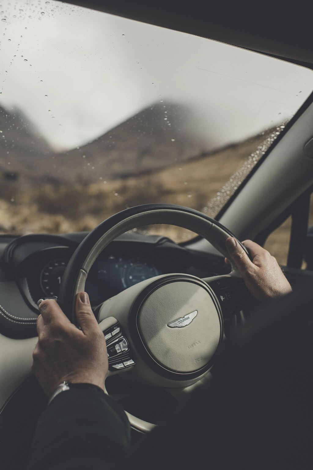 Aston Martin DBX 2026 9