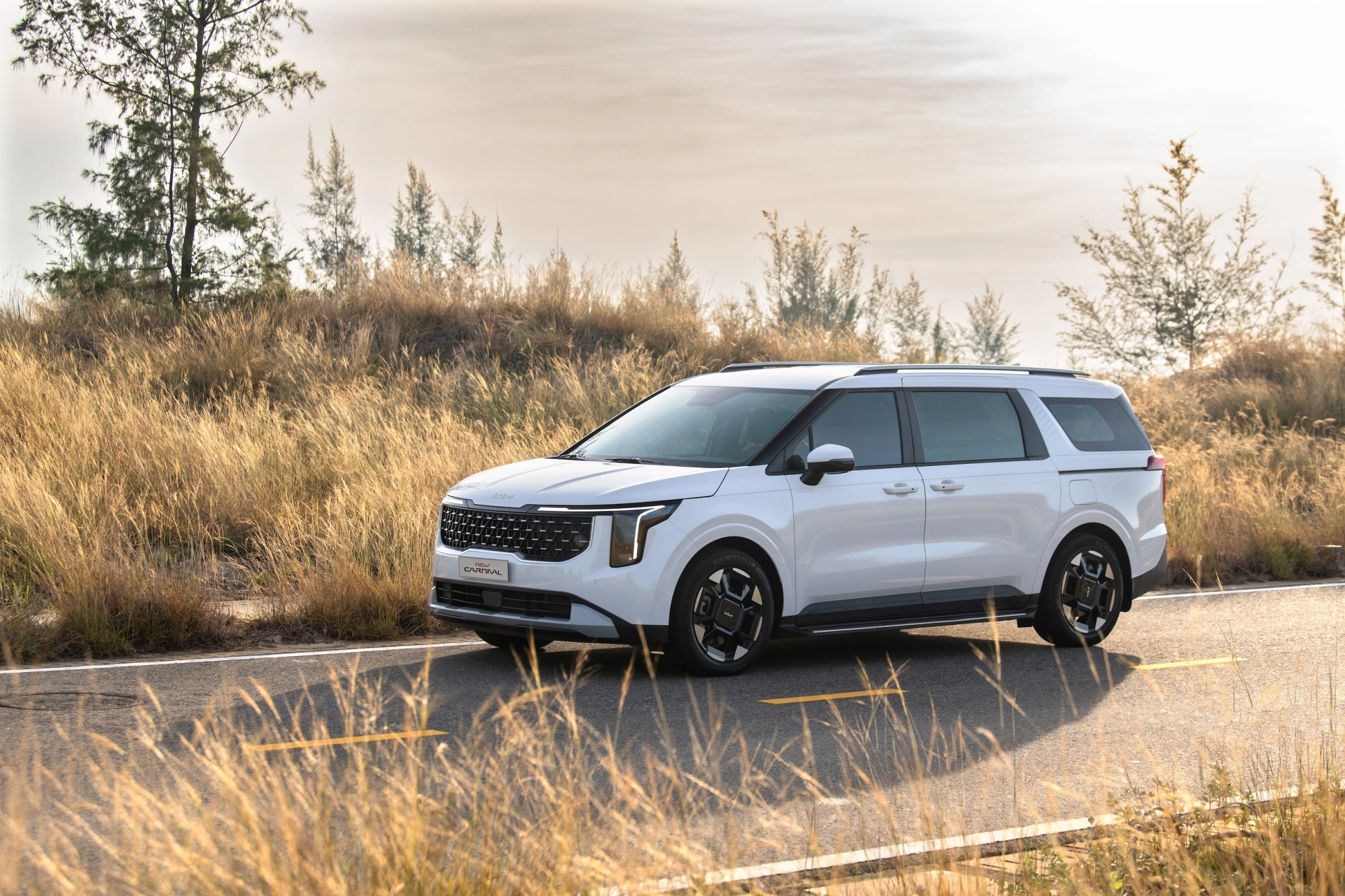 Kia Carnival 2026 26