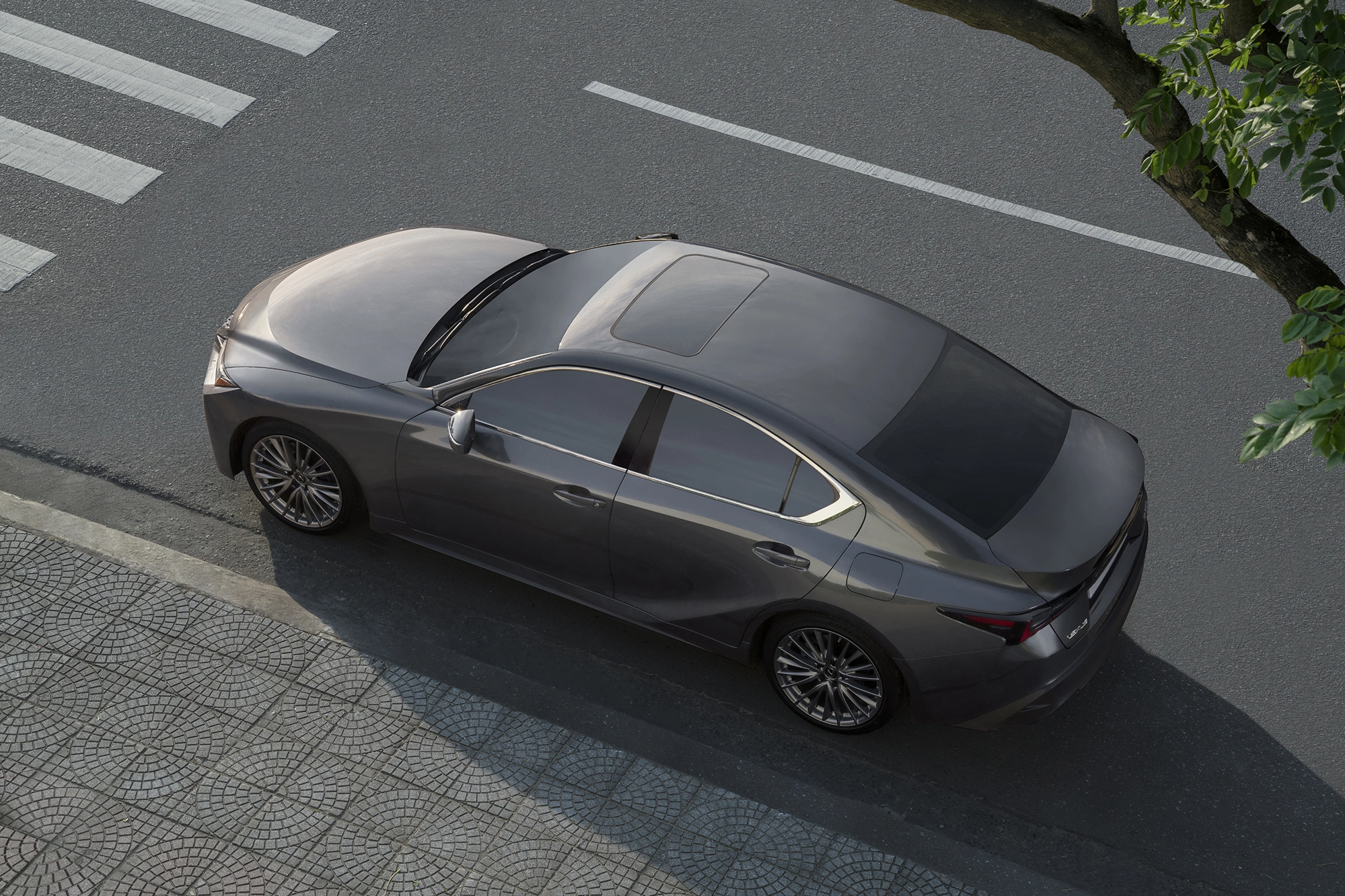 Lexus IS 2026 6