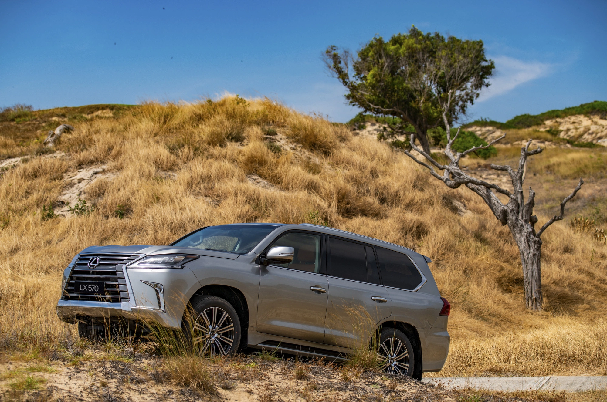 Lexus LX 2026 7