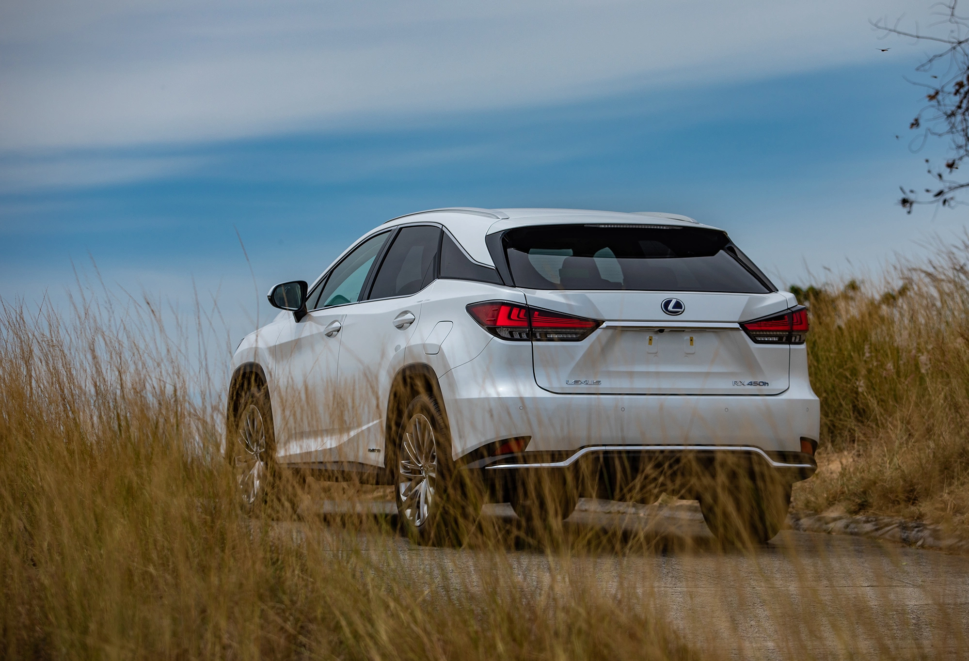 Lexus RX 2026 2