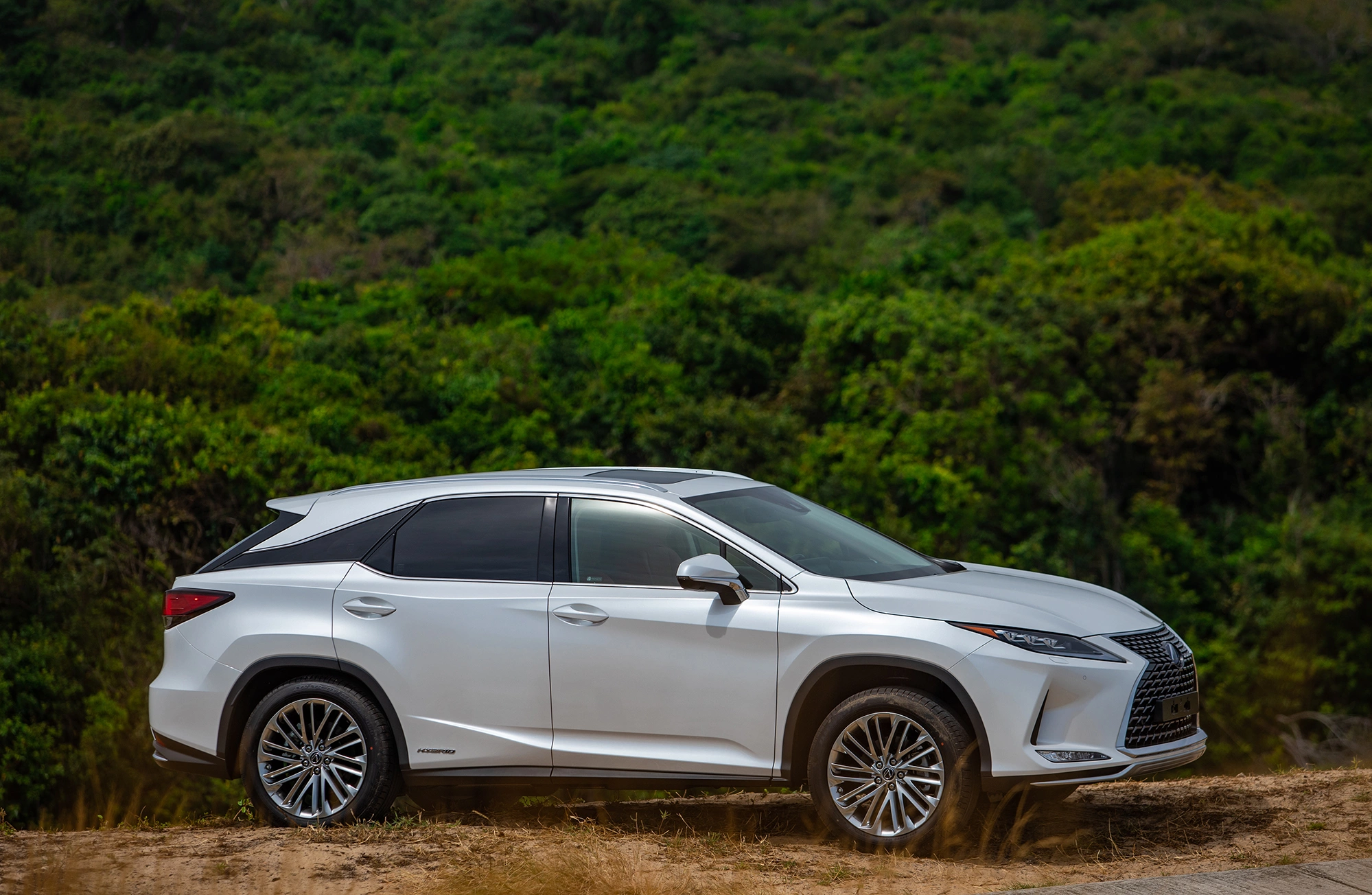Lexus RX 2026 3