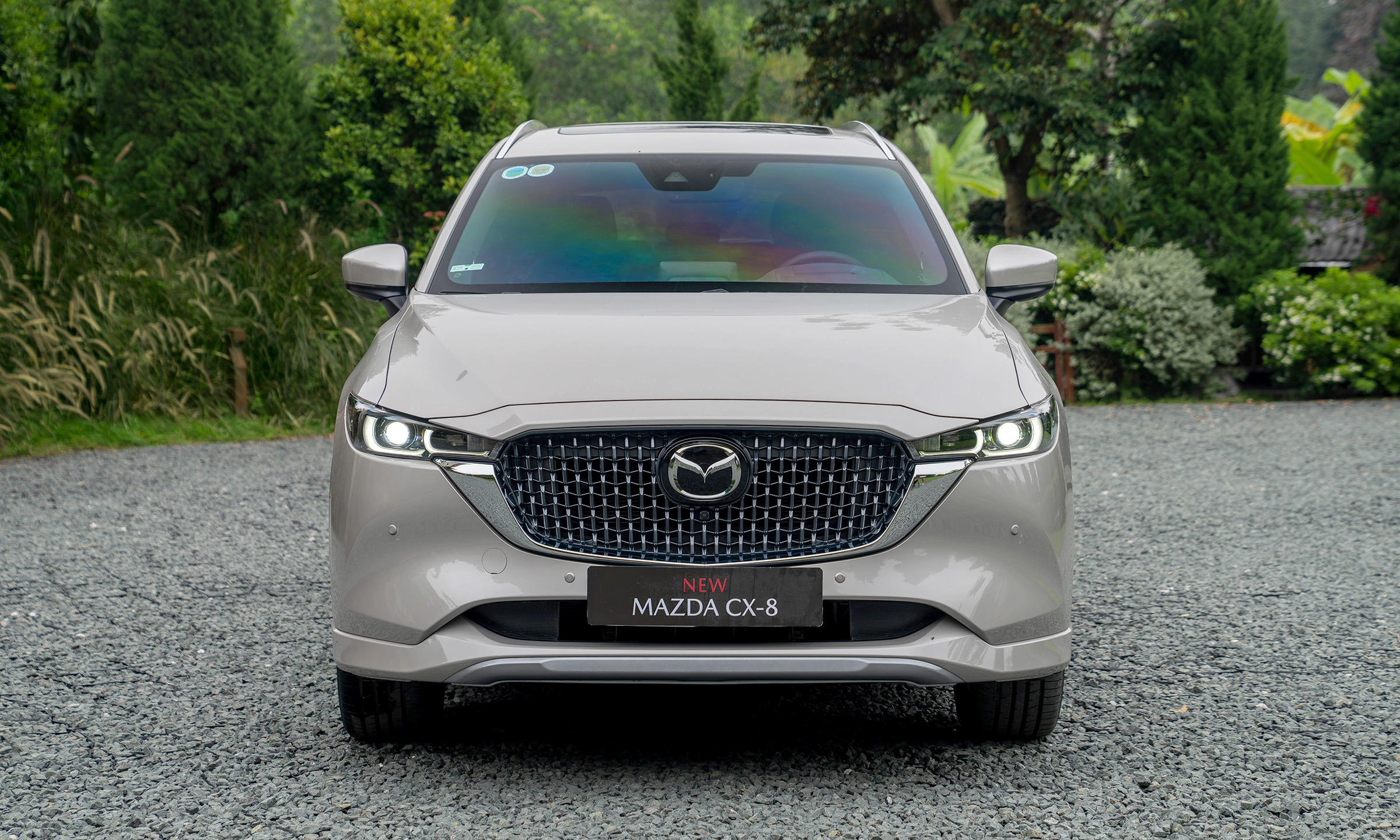 Mazda CX-8 2026 3