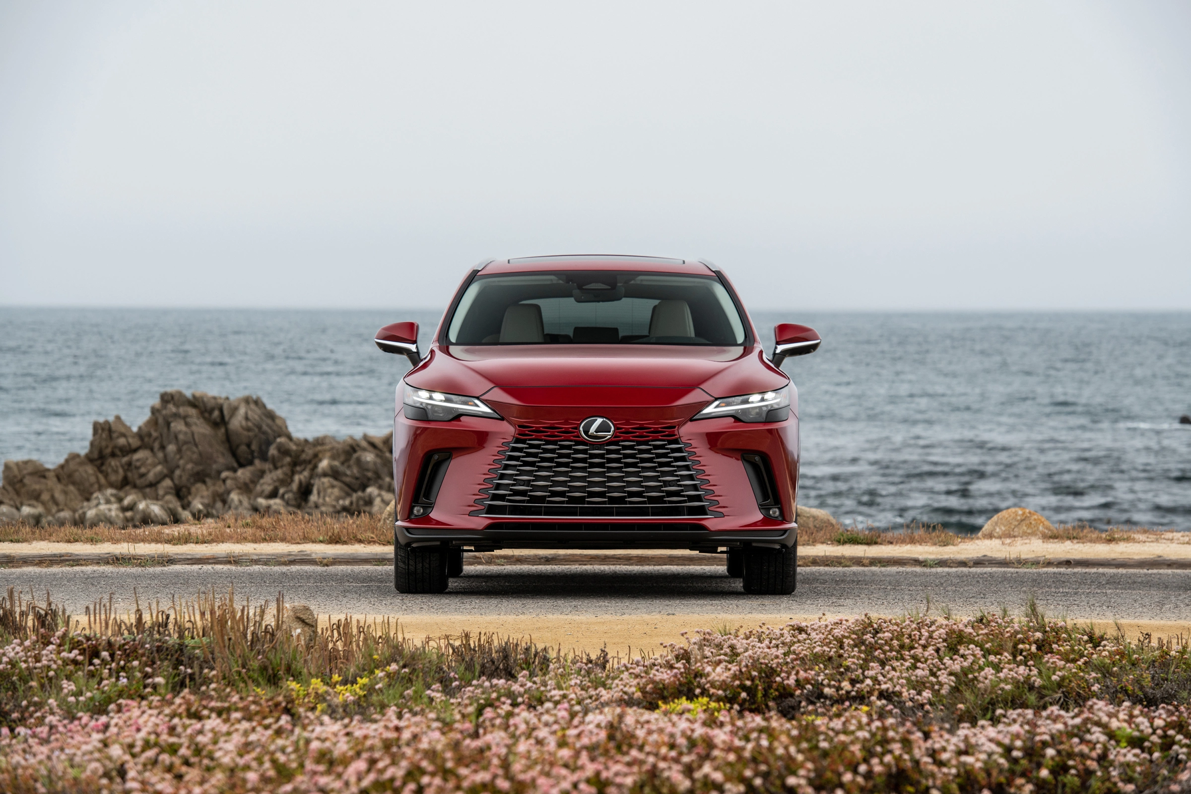 Lexus RX 2026 6