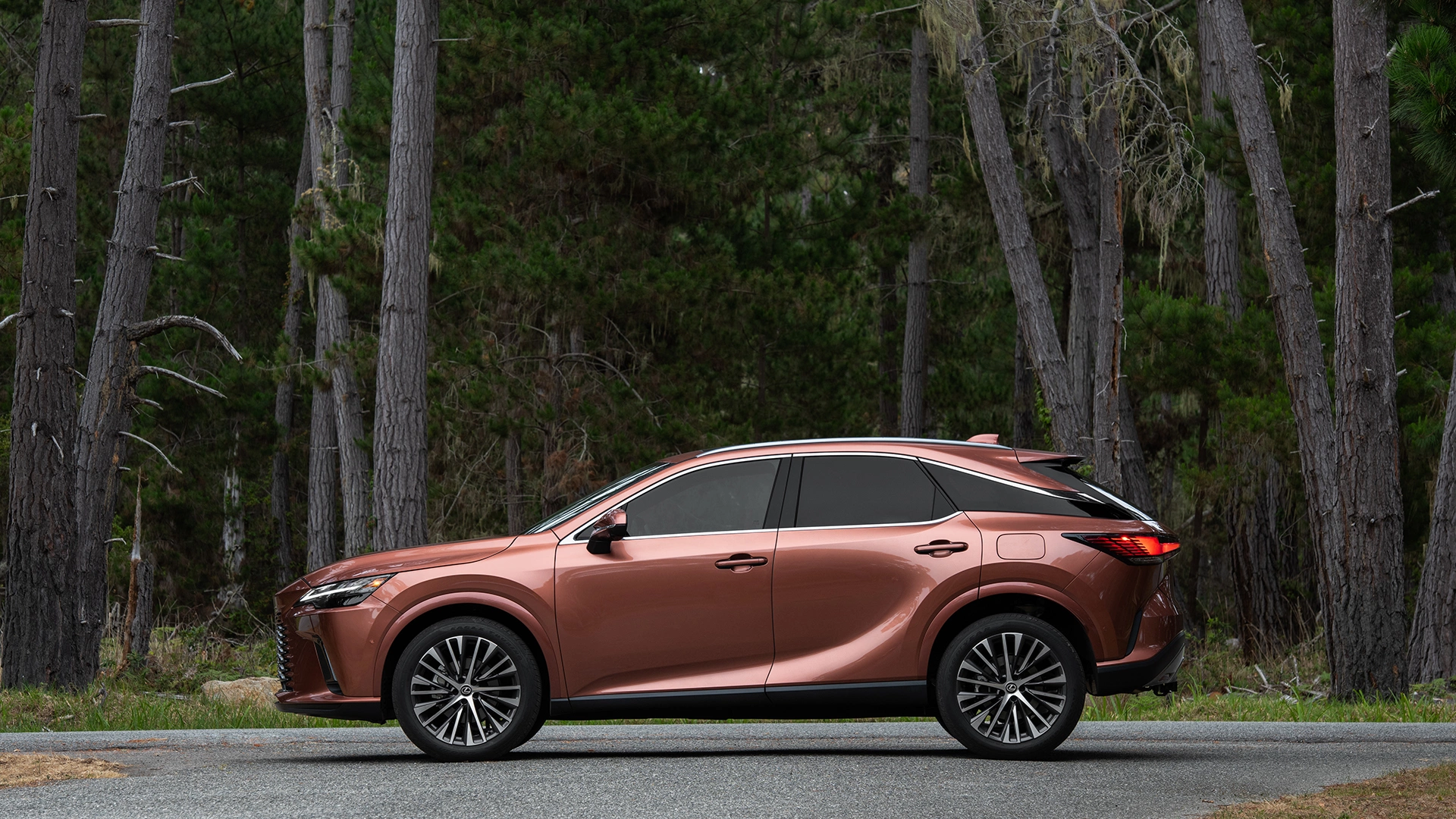 Lexus RX 2026 4