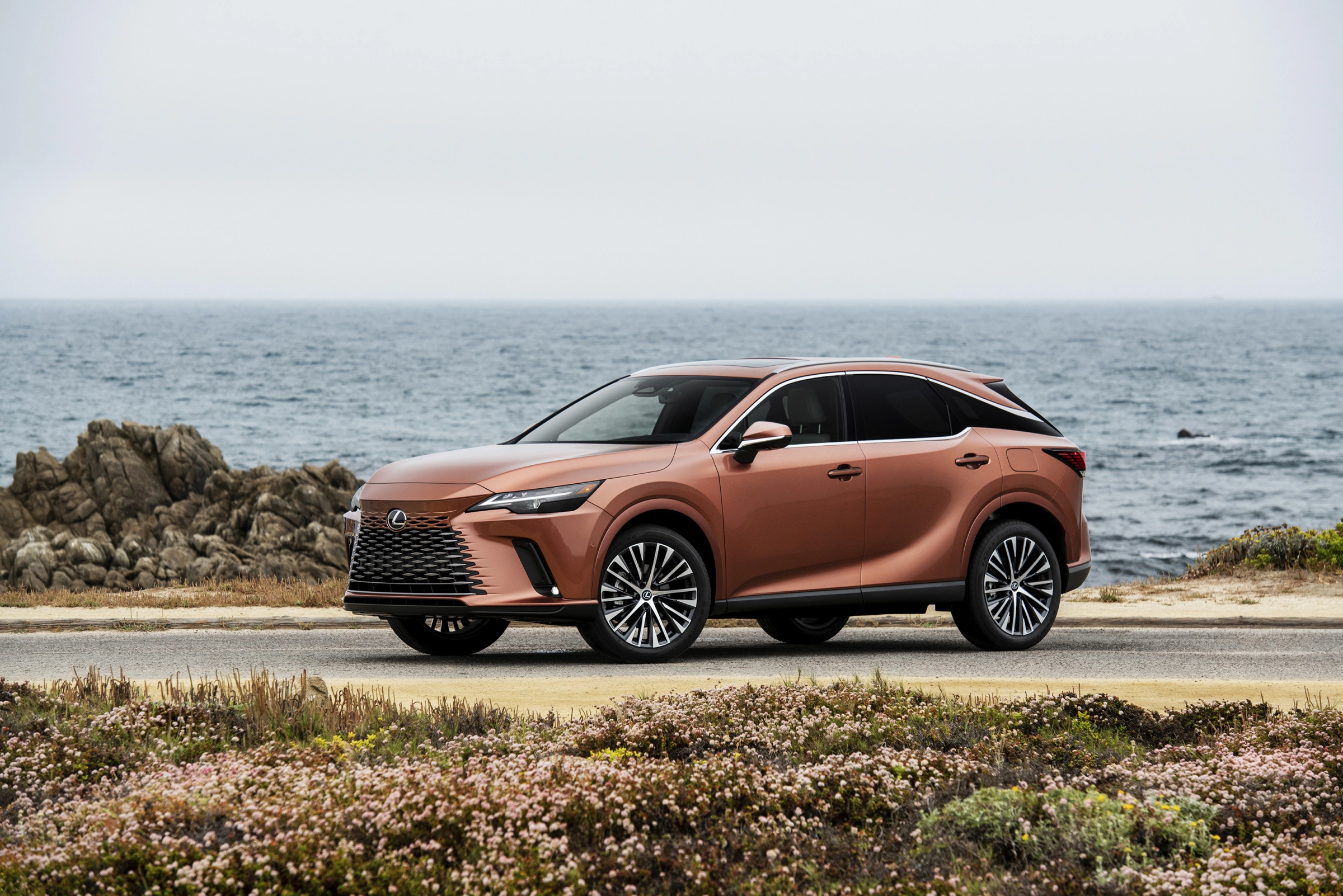 Lexus RX 2026 2