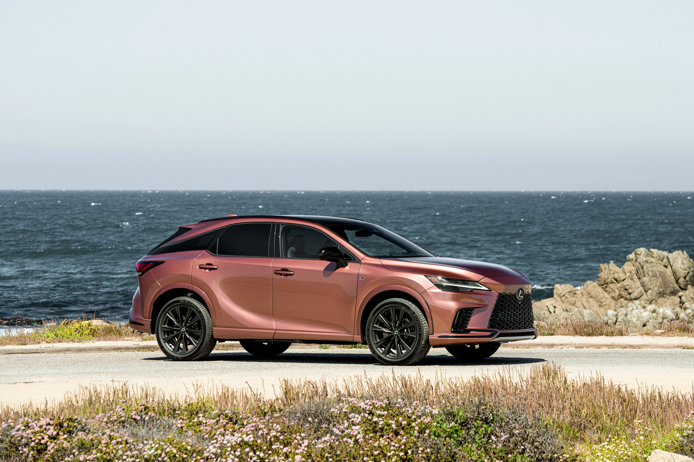 Lexus RX 2026 3