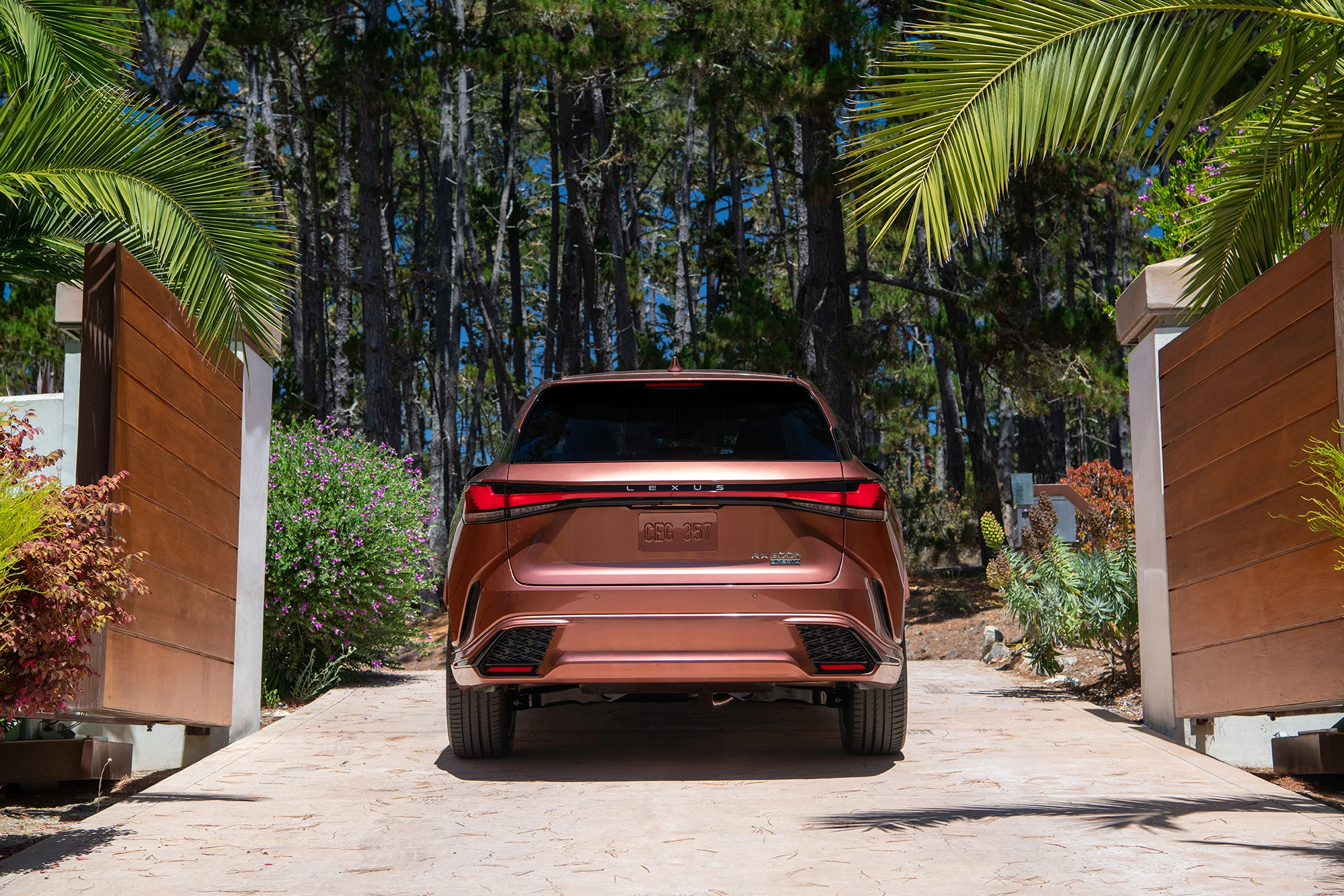Lexus RX 2026 9