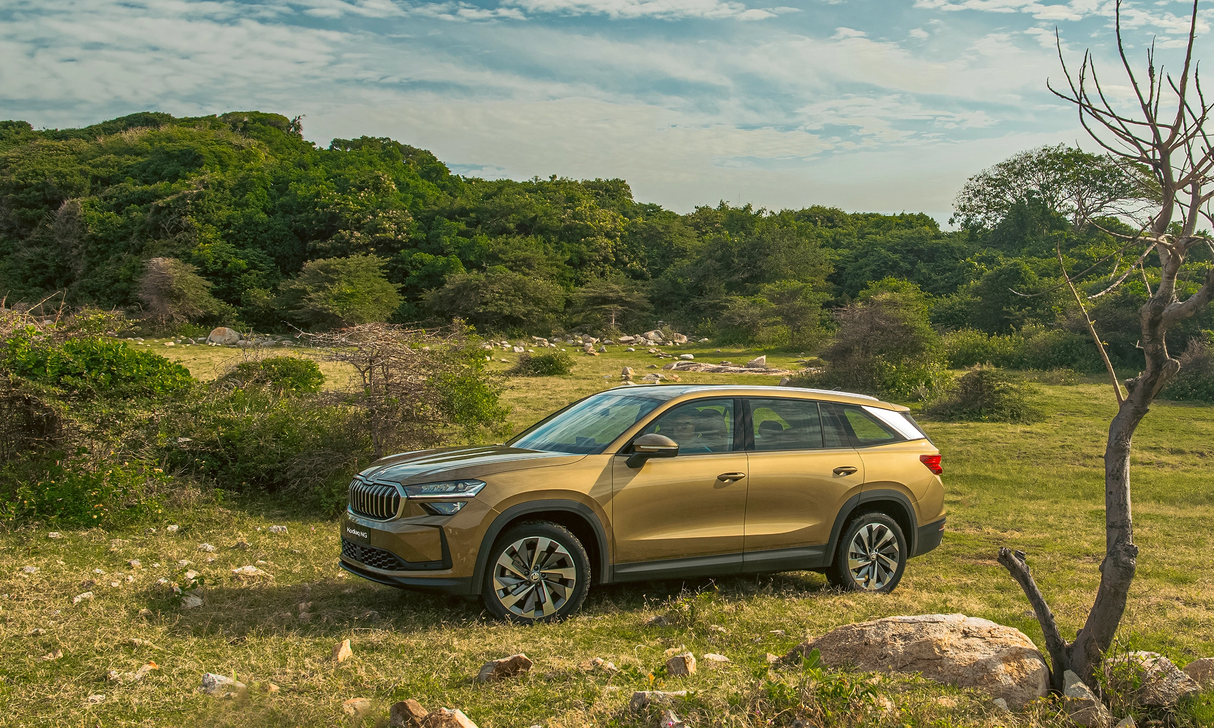 Skoda Kodiaq 2026 2