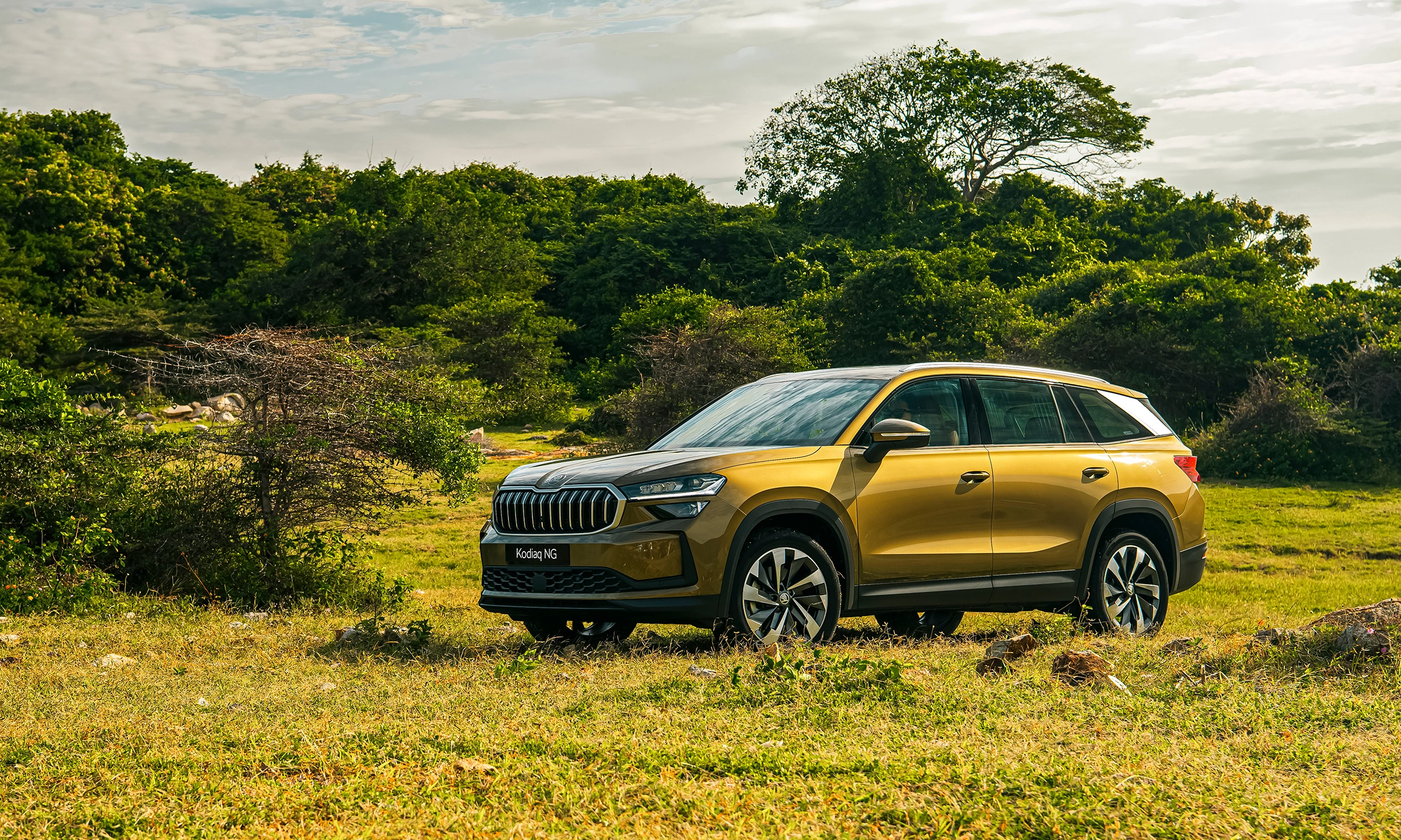 Skoda Kodiaq 2026 4