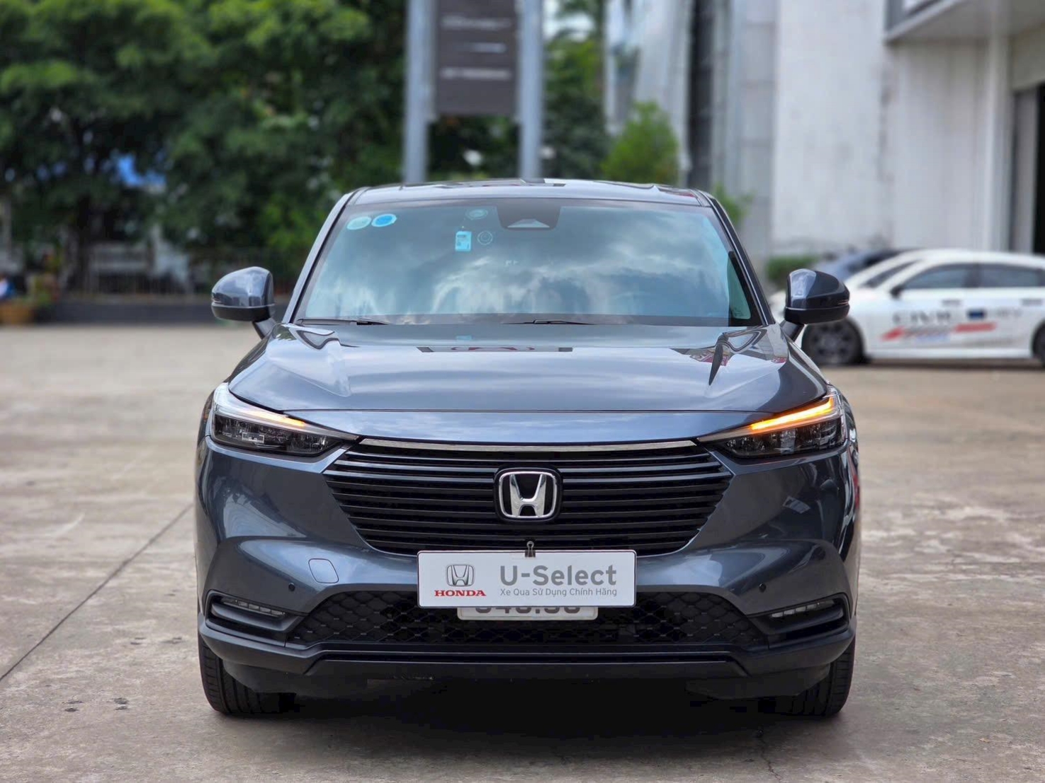 Ảnh 1