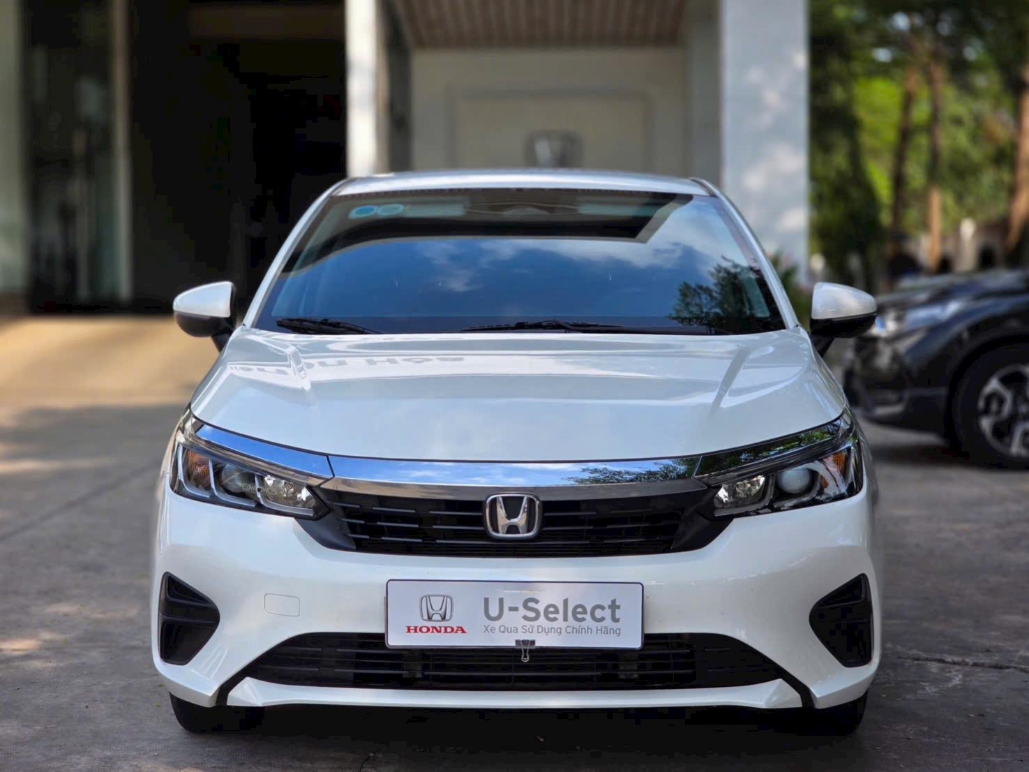 Ảnh 2