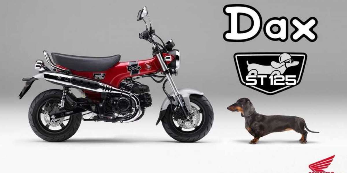 Tháng 7 này, “Chó lạp xưởng” Honda ST125 Dax bắt đầu chinh chiến thị trường