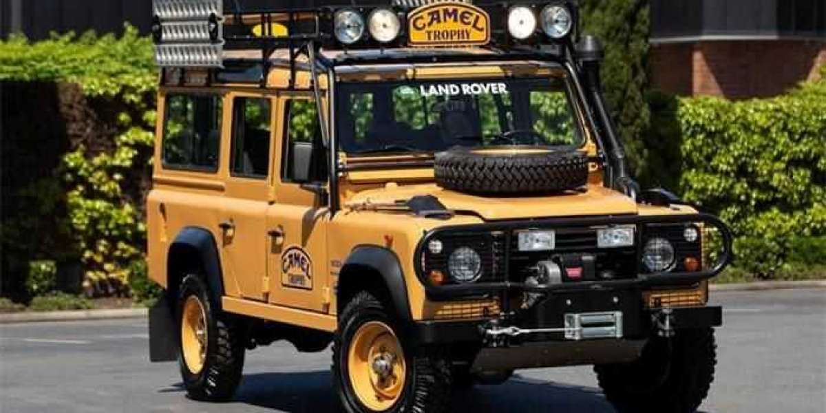Những chiếc Land Rover đặc biệt trên thế giới