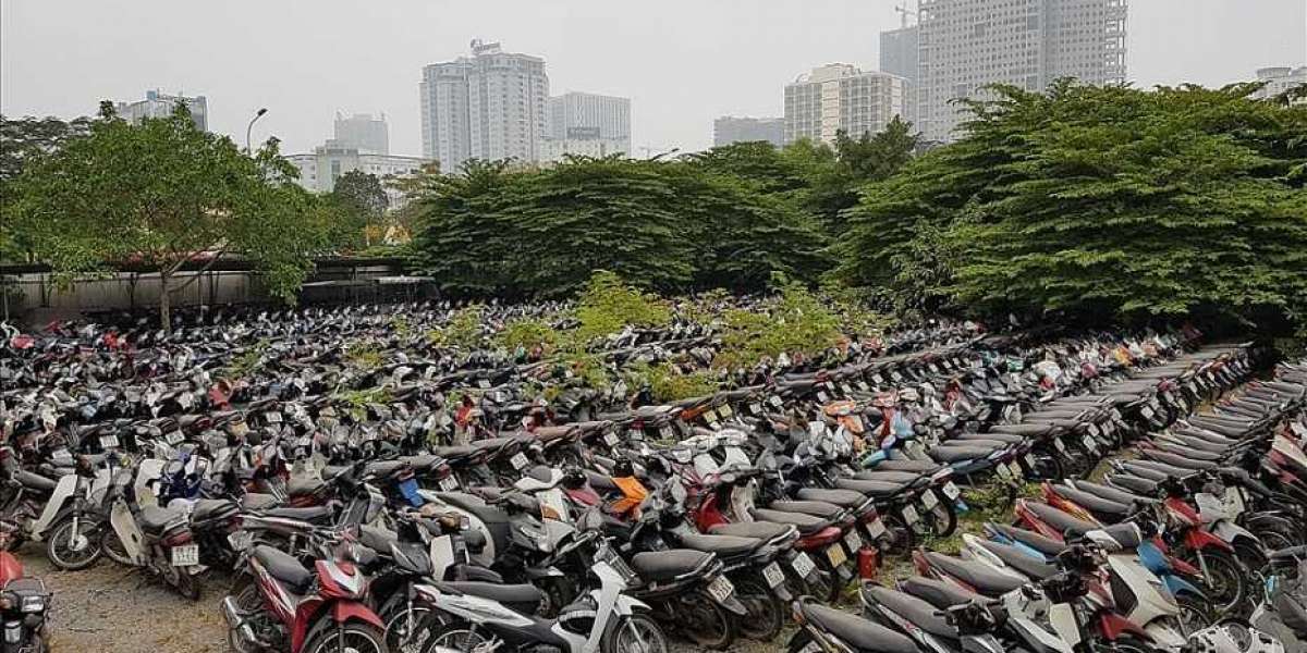 Những trường hợp nào bị thu hồi đăng ký và biển số xe sau ngày 1/8