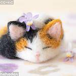 Bria Boyer Profile Picture